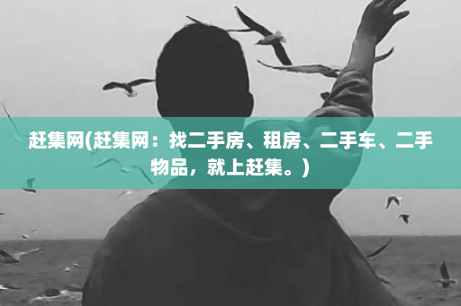 赶集网(赶集网：找二手房、租房、二手车、二手物品，就上赶集。)  第1张