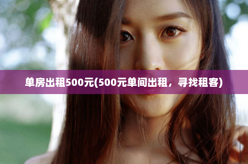 单房出租500元(500元单间出租，寻找租客)