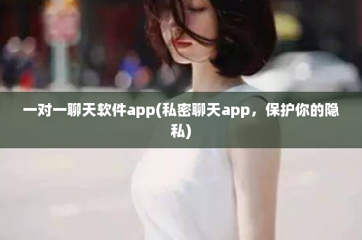 一对一聊天软件app(私密聊天app，保护你的隐私)