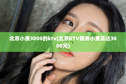 北京小费3000的ktv(北京KTV服务小费高达3000元)  第1张